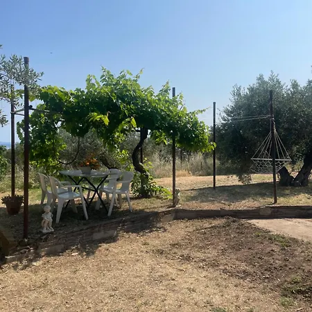 Διαμέρισμα Garden Nest In