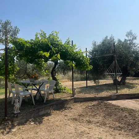 Διαμέρισμα Garden Nest In *