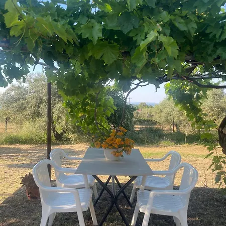 Garden Nest In * Vourvourou