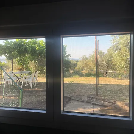 Garden Nest In דירה
