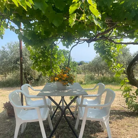 Garden Nest In *